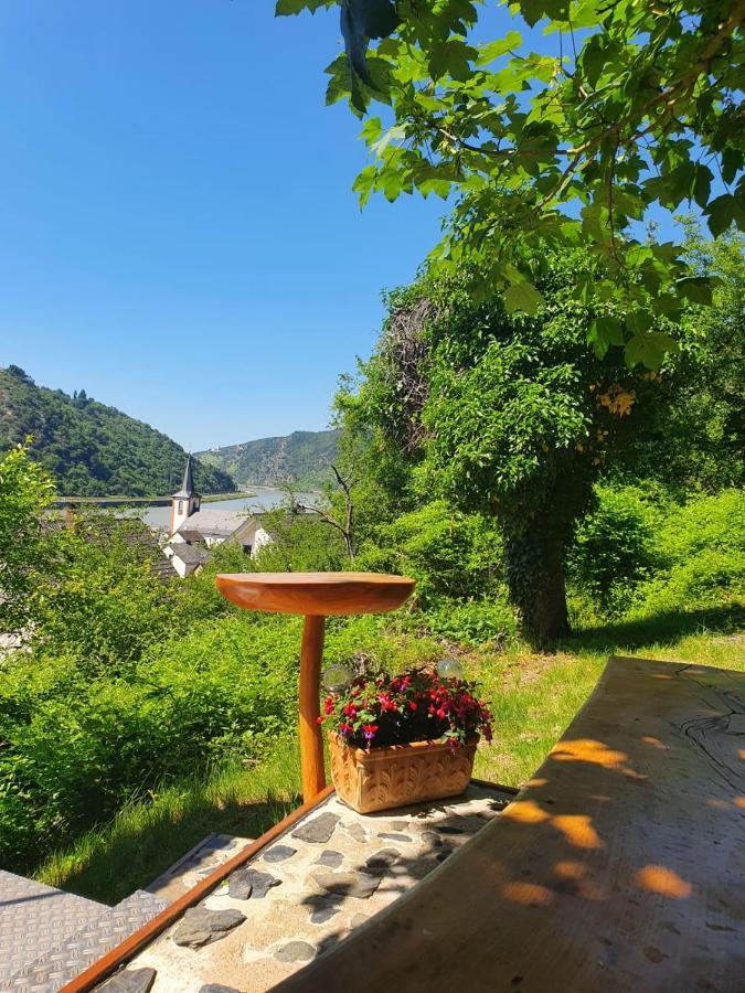 Ferienwohnung Zum Rheinblick 케스터트 외부 사진