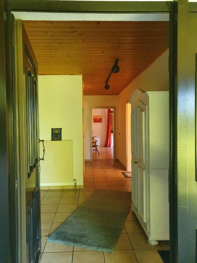 Ferienwohnung Zum Rheinblick 케스터트 외부 사진