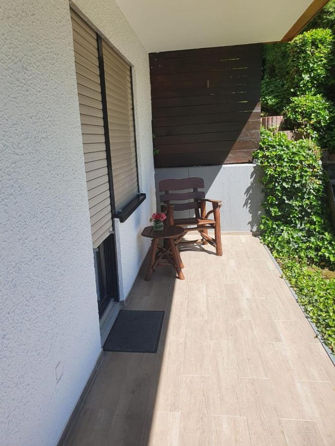 Ferienwohnung Zum Rheinblick 케스터트 외부 사진
