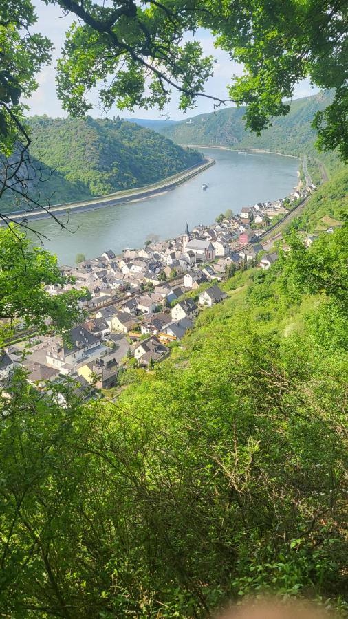 Ferienwohnung Zum Rheinblick 케스터트 외부 사진