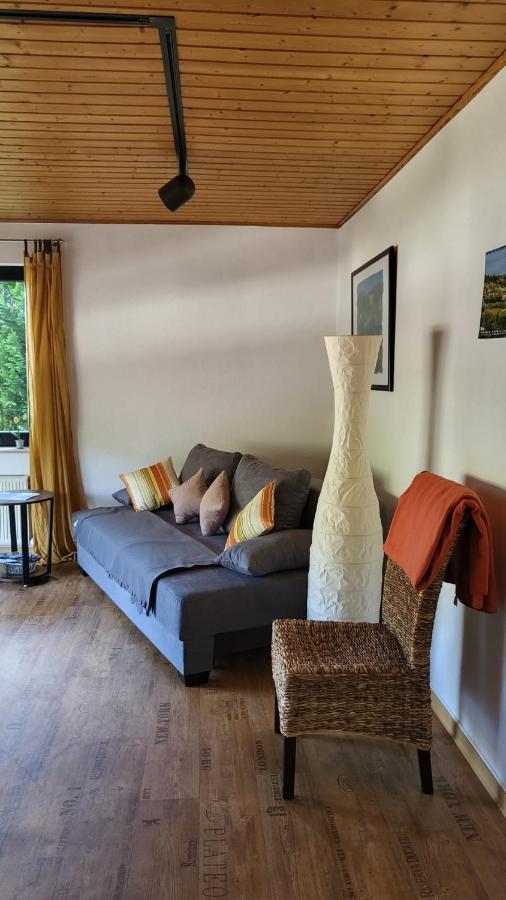 Ferienwohnung Zum Rheinblick 케스터트 외부 사진