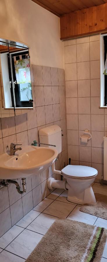 Ferienwohnung Zum Rheinblick 케스터트 외부 사진