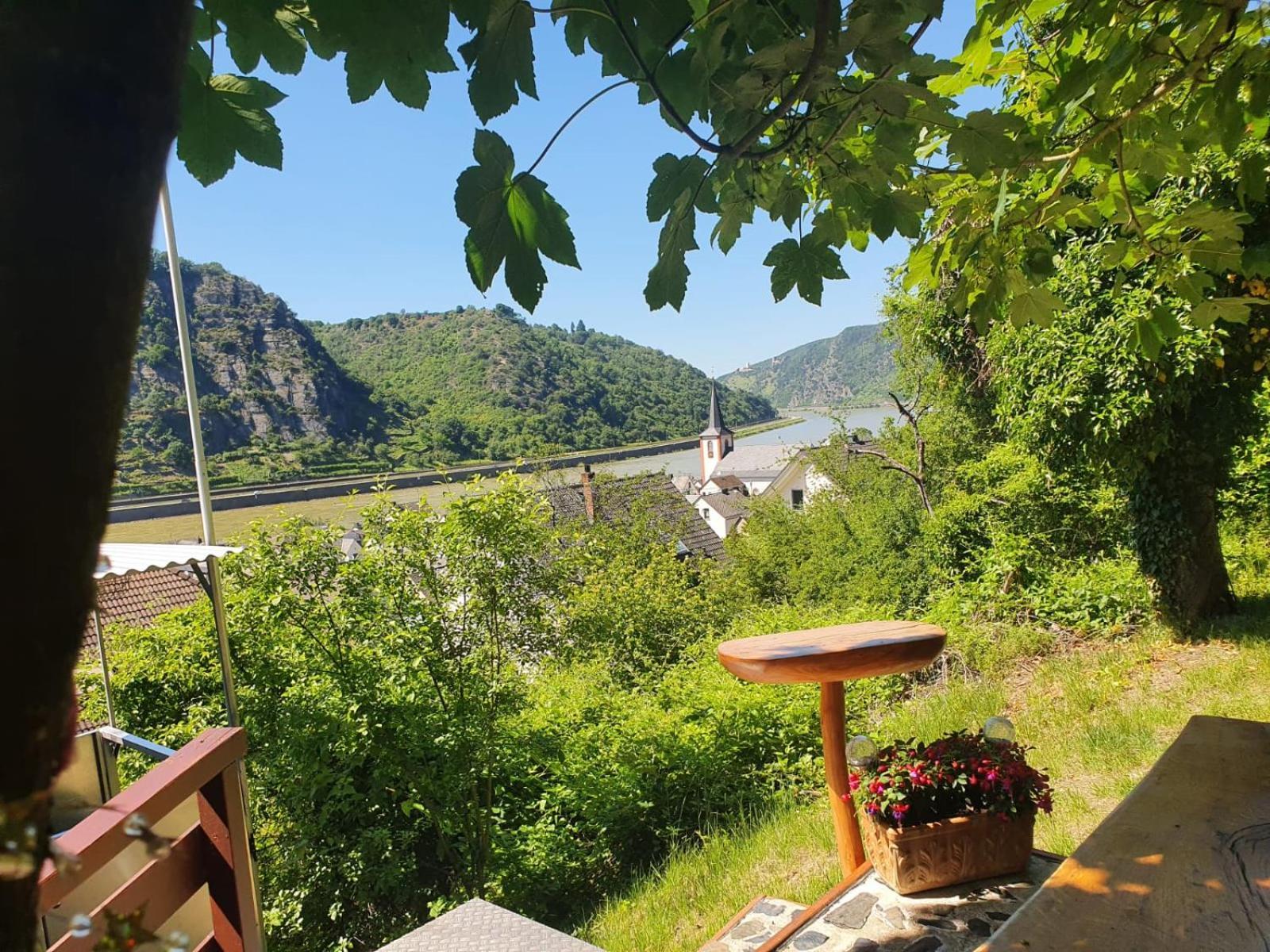 Ferienwohnung Zum Rheinblick 케스터트 외부 사진